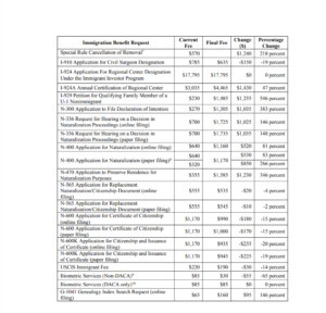 7 Points To Know About USCIS' New 2020 Fee Requirements | Lum Law Group